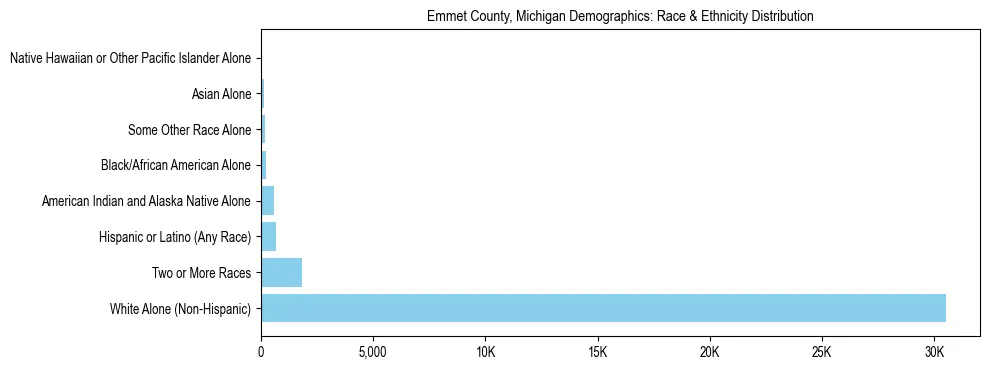Race and Ethnicity Distribution Chart for Emmet County, Michigan