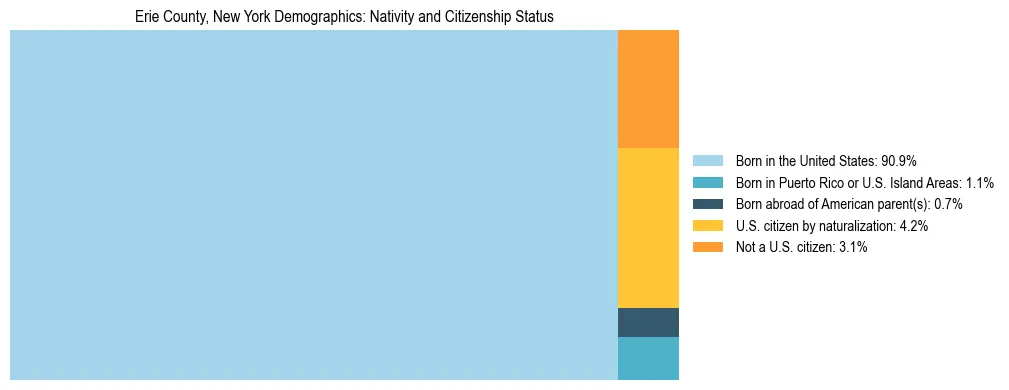Treemap showing the population distribution by nativity and citizenship status in Erie County, New York based on U.S. Census data.