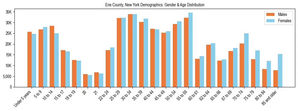 Bar chart showing the population distribution of Erie County, New York by age group and gender, based on 2023 ACS data.