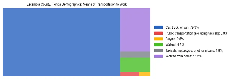 Treemap showing means of transportation to work distribution in Escambia County, Florida.