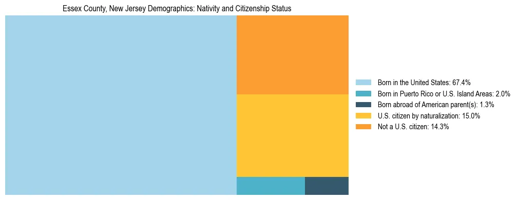 Treemap showing the population distribution by nativity and citizenship status in Essex County, New Jersey based on U.S. Census data.