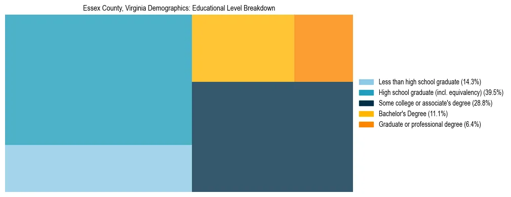 Treemap chart illustrating the educational attainment breakdown for population 25 years and over in Essex County, Virginia.