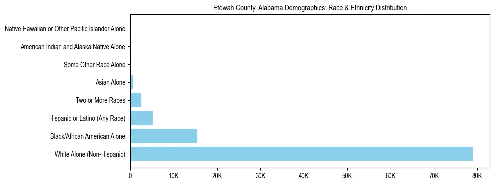 Race and Ethnicity Distribution Chart for Etowah County, Alabama