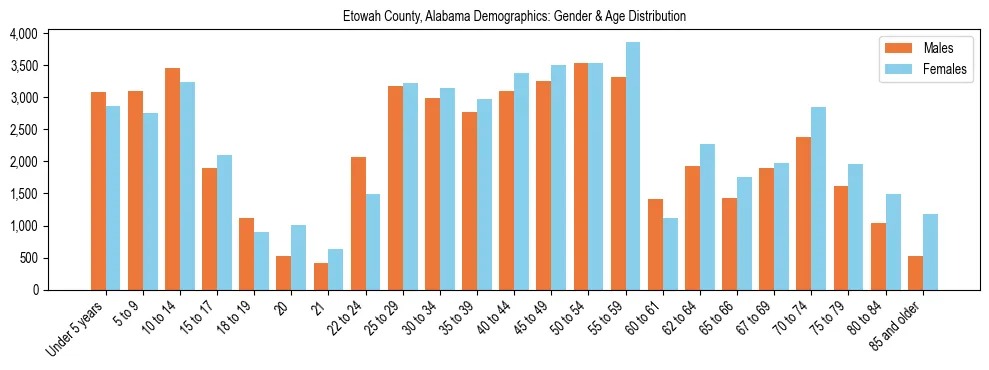Bar chart showing the population distribution of Etowah County, Alabama by age group and gender, based on 2023 ACS data.