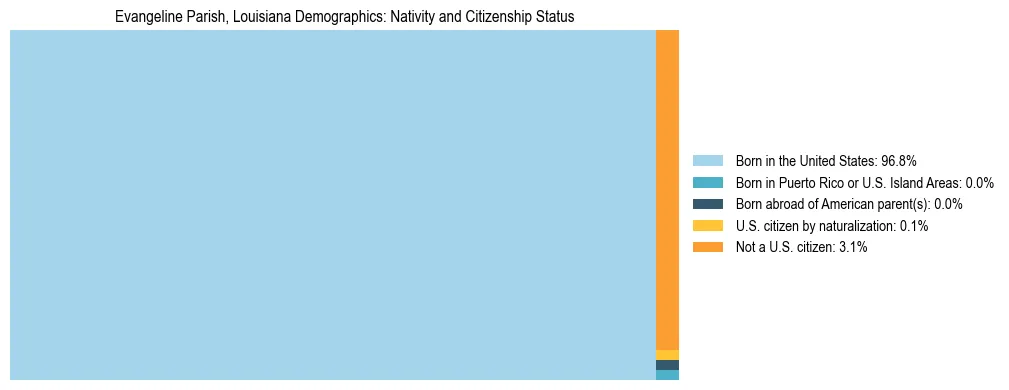 Treemap showing the population distribution by nativity and citizenship status in Evangeline Parish, Louisiana based on U.S. Census data.