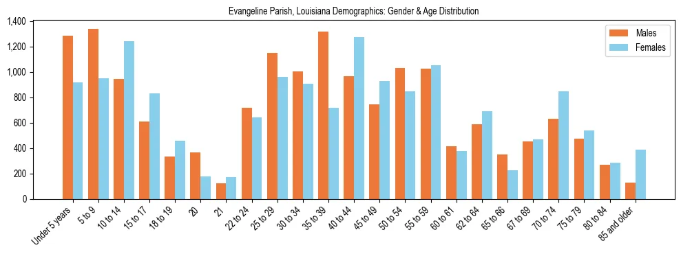Bar chart showing the population distribution of Evangeline Parish, Louisiana by age group and gender, based on 2023 ACS data.