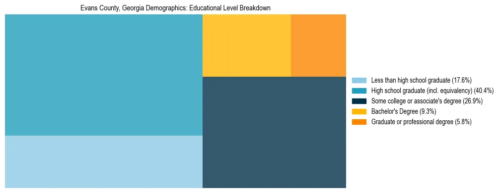 Treemap chart illustrating the educational attainment breakdown for population 25 years and over in Evans County, Georgia.