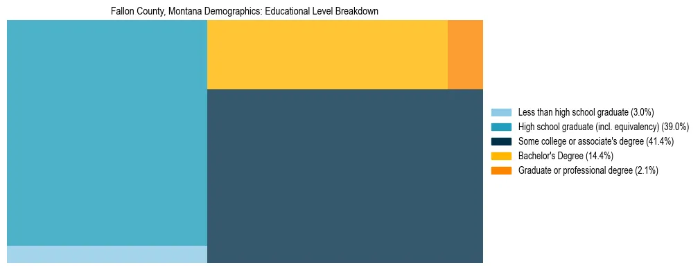Treemap chart illustrating the educational attainment breakdown for population 25 years and over in Fallon County, Montana.