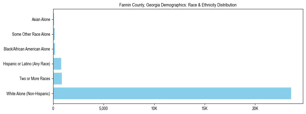 Race and Ethnicity Distribution Chart for Fannin County, Georgia