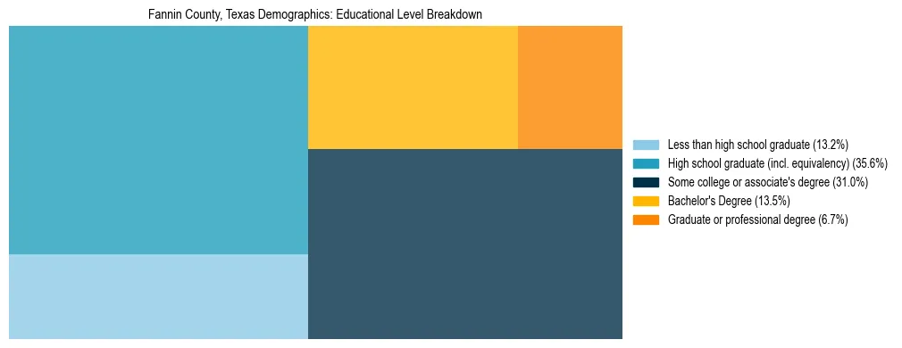 Treemap chart illustrating the educational attainment breakdown for population 25 years and over in Fannin County, Texas.