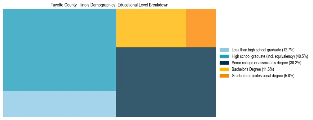 Treemap chart illustrating the educational attainment breakdown for population 25 years and over in Fayette County, Illinois.