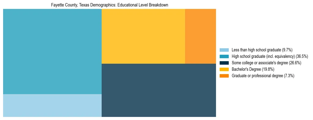 Treemap chart illustrating the educational attainment breakdown for population 25 years and over in Fayette County, Texas.