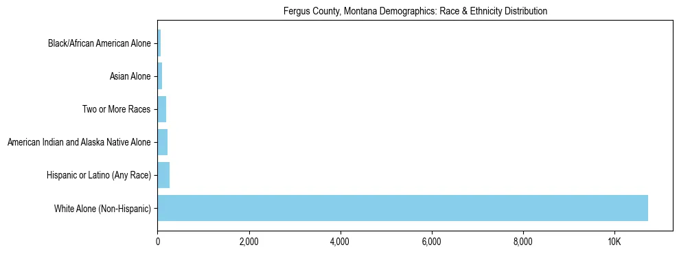 Race and Ethnicity Distribution Chart for Fergus County, Montana
