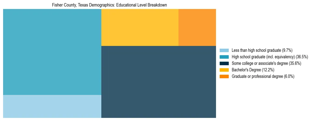 Treemap chart illustrating the educational attainment breakdown for population 25 years and over in Fisher County, Texas.