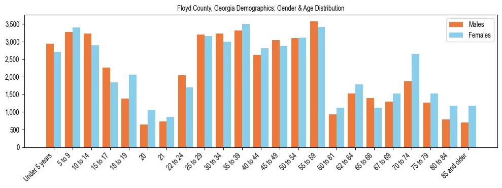 Bar chart showing the population distribution of Floyd County, Georgia by age group and gender, based on 2023 ACS data.