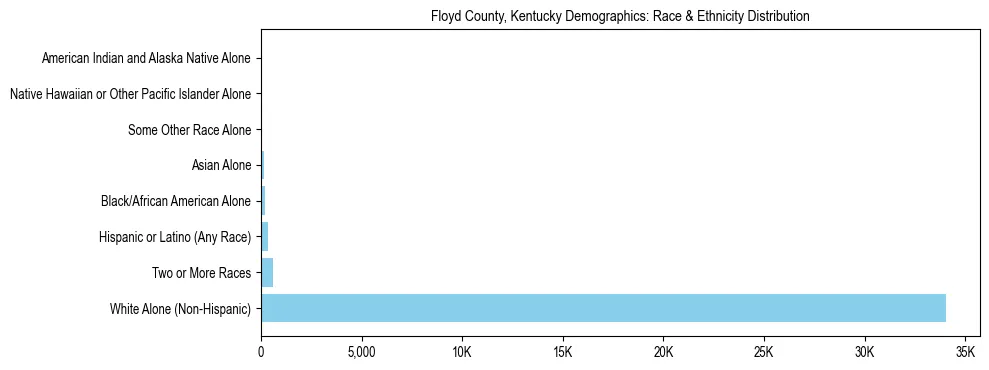 Race and Ethnicity Distribution Chart for Floyd County, Kentucky