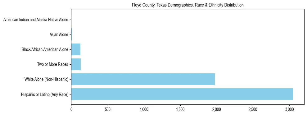 Race and Ethnicity Distribution Chart for Floyd County, Texas
