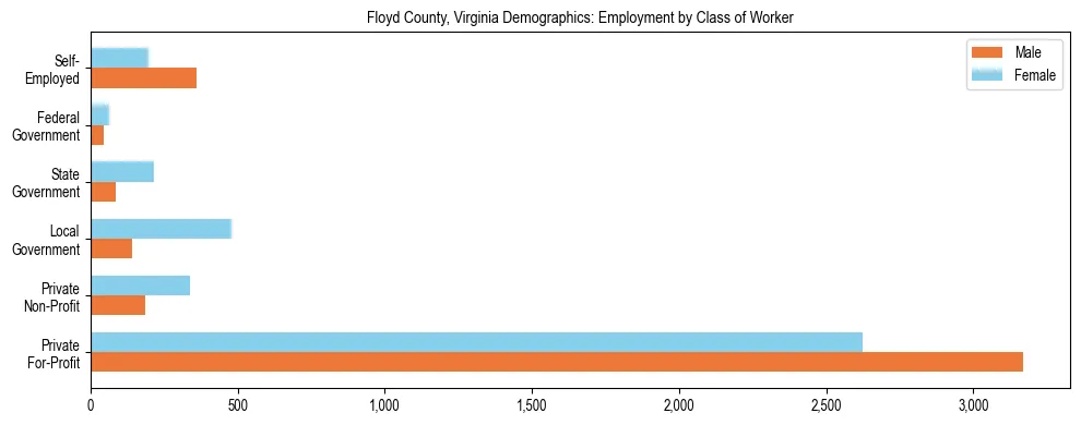 Horizontal bar chart showing employment distribution by class of worker and gender in Floyd County, Virginia, based on 2023 ACS data.