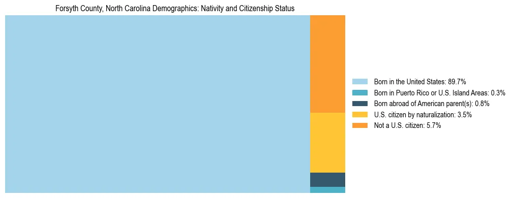 Treemap showing the population distribution by nativity and citizenship status in Forsyth County, North Carolina based on U.S. Census data.