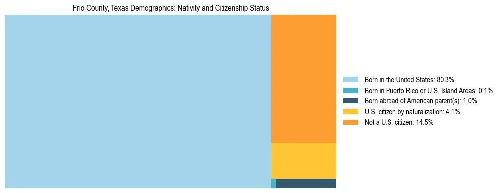 Treemap showing the population distribution by nativity and citizenship status in Frio County, Texas based on U.S. Census data.