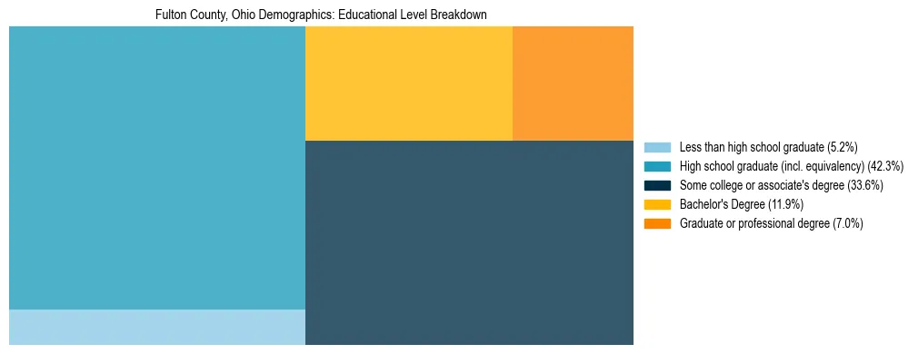 Treemap chart illustrating the educational attainment breakdown for population 25 years and over in Fulton County, Ohio.