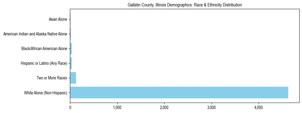 Race and Ethnicity Distribution Chart for Gallatin County, Illinois