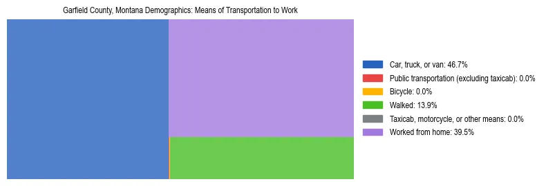 Treemap showing means of transportation to work distribution in Garfield County, Montana.