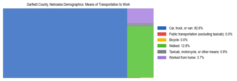 Treemap showing means of transportation to work distribution in Garfield County, Nebraska.