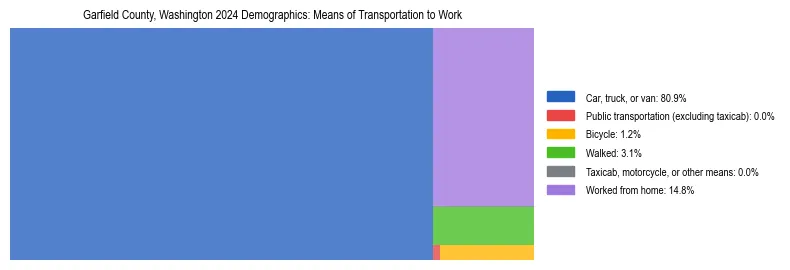 Treemap showing means of transportation to work distribution in Garfield County, Washington.