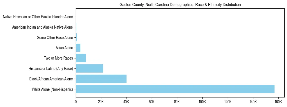 Race and Ethnicity Distribution Chart for Gaston County, North Carolina