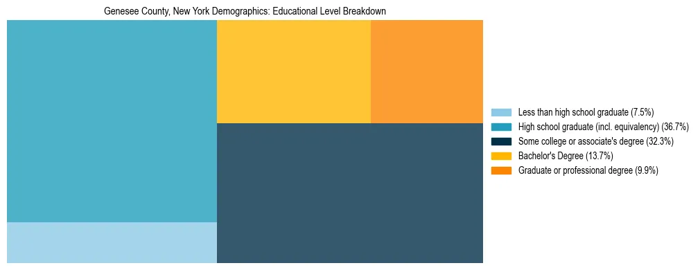 Treemap chart illustrating the educational attainment breakdown for population 25 years and over in Genesee County, New York.