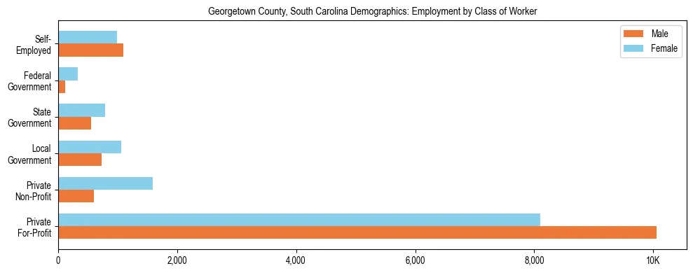 Horizontal bar chart showing employment distribution by class of worker and gender in Georgetown County, South Carolina, based on 2023 ACS data.