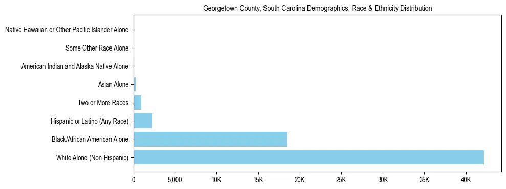Race and Ethnicity Distribution Chart for Georgetown County, South Carolina