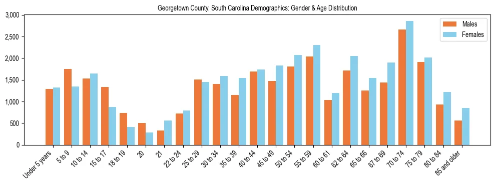 Bar chart showing the population distribution of Georgetown County, South Carolina by age group and gender, based on 2023 ACS data.