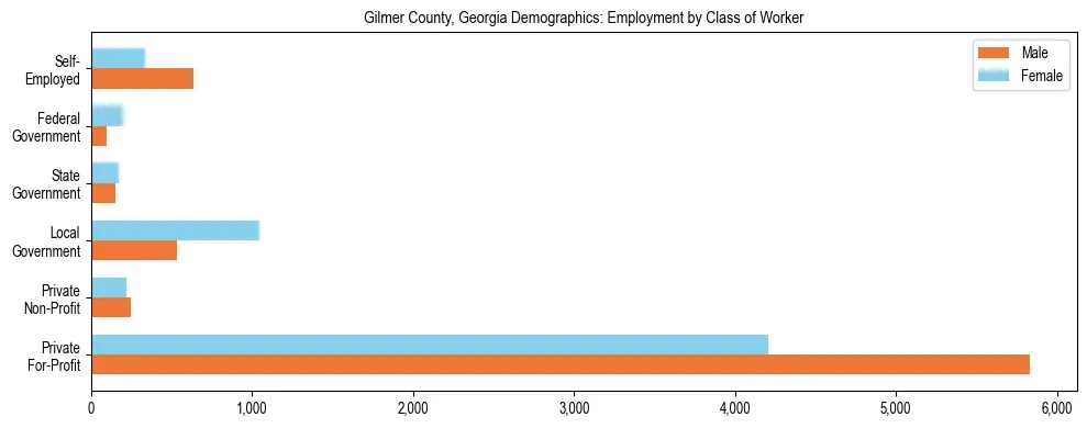 Horizontal bar chart showing employment distribution by class of worker and gender in Gilmer County, Georgia, based on 2023 ACS data.