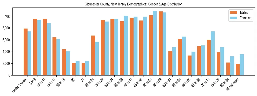 Bar chart showing the population distribution of Gloucester County, New Jersey by age group and gender, based on 2023 ACS data.