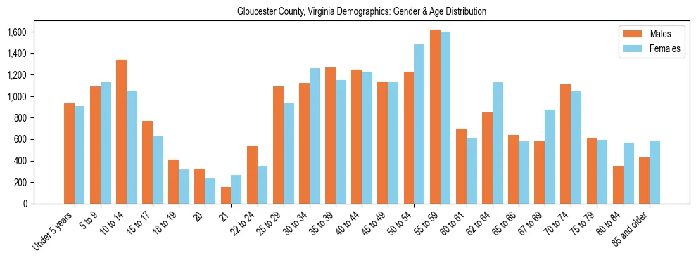 Bar chart showing the population distribution of Gloucester County, Virginia by age group and gender, based on 2023 ACS data.