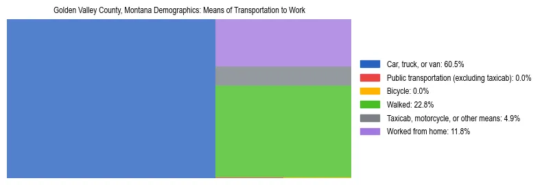 Treemap showing means of transportation to work distribution in Golden Valley County, Montana.