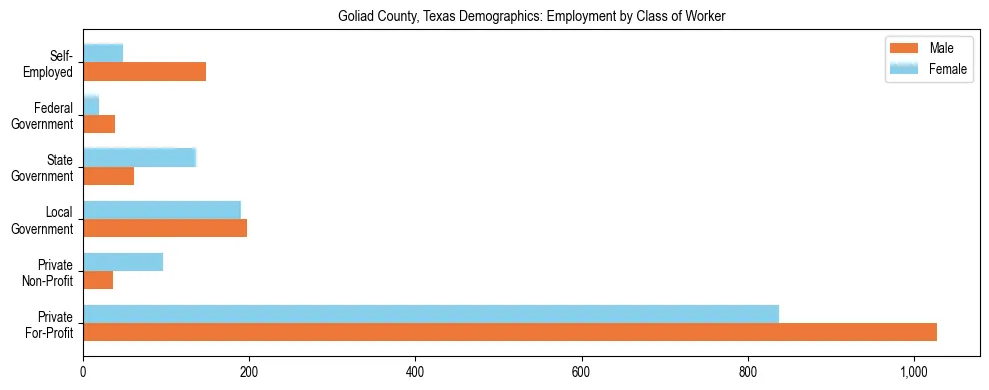 Horizontal bar chart showing employment distribution by class of worker and gender in Goliad County, Texas, based on 2023 ACS data.