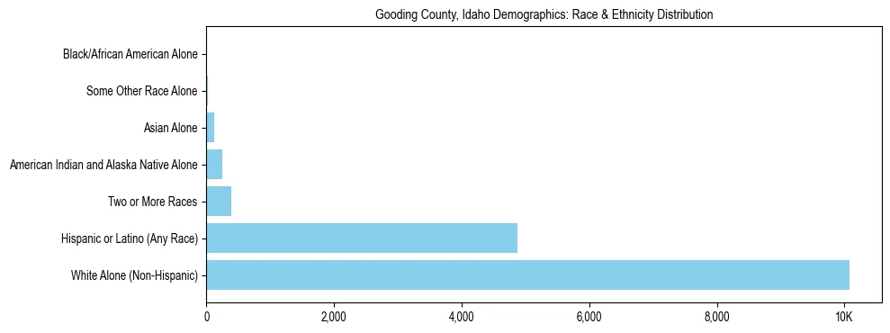 Race and Ethnicity Distribution Chart for Gooding County, Idaho