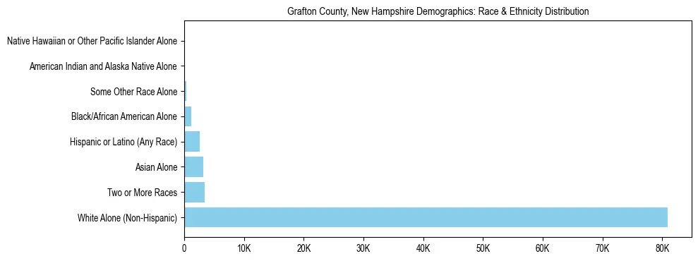 Race and Ethnicity Distribution Chart for Grafton County, New Hampshire