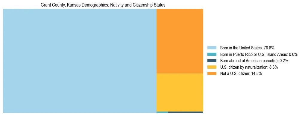 Treemap showing the population distribution by nativity and citizenship status in Grant County, Kansas based on U.S. Census data.