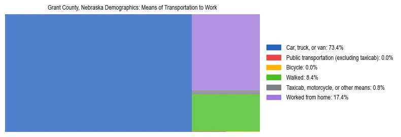 Treemap showing means of transportation to work distribution in Grant County, Nebraska.