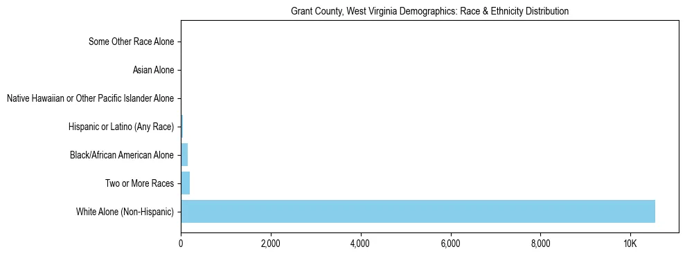 Race and Ethnicity Distribution Chart for Grant County, West Virginia