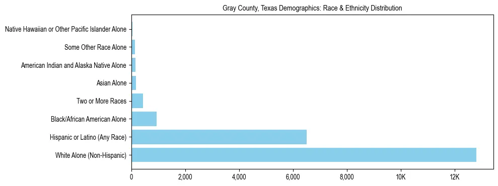 Race and Ethnicity Distribution Chart for Gray County, Texas