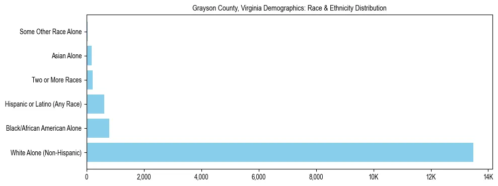 Race and Ethnicity Distribution Chart for Grayson County, Virginia