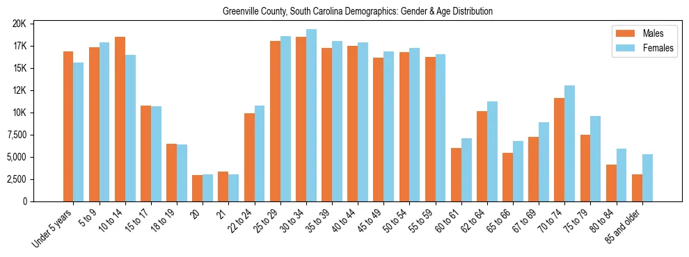 Bar chart showing the population distribution of Greenville County, South Carolina by age group and gender, based on 2023 ACS data.