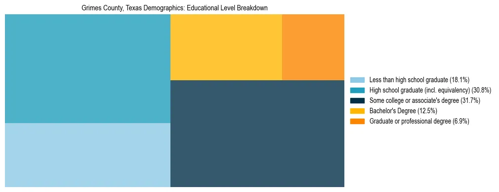 Treemap chart illustrating the educational attainment breakdown for population 25 years and over in Grimes County, Texas.