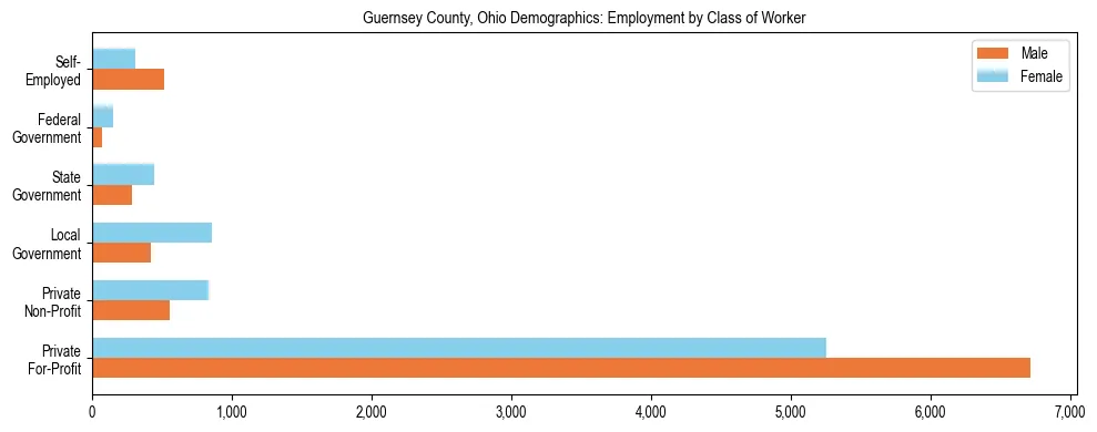 Horizontal bar chart showing employment distribution by class of worker and gender in Guernsey County, Ohio, based on 2023 ACS data.