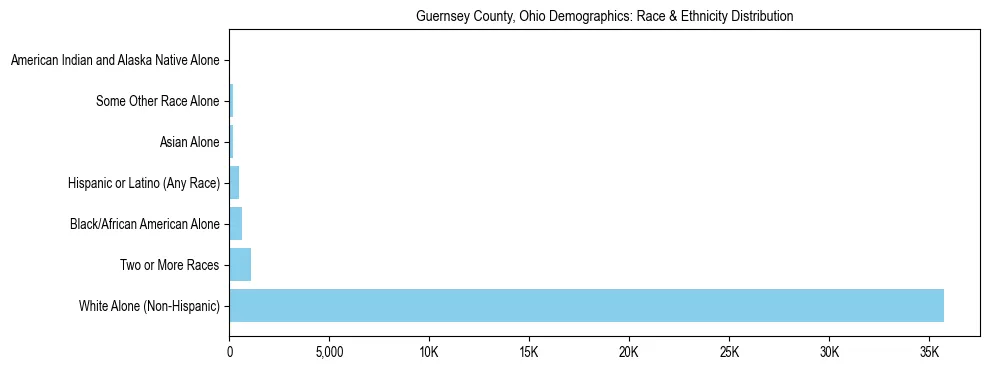 Race and Ethnicity Distribution Chart for Guernsey County, Ohio